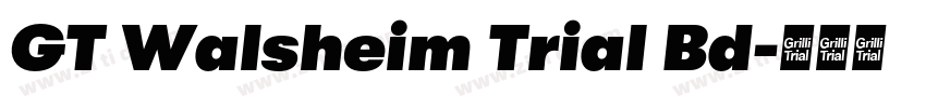 GT Walsheim Trial Bd字体转换